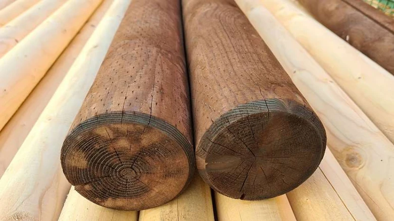 Dvě dřevěné kulatiny pro stavbu plotu na světlém podkladu