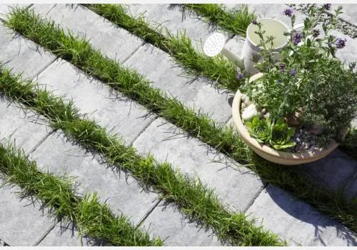 Šedá vegetační dlažba s prouhy rostoucí trávy na zahradě.