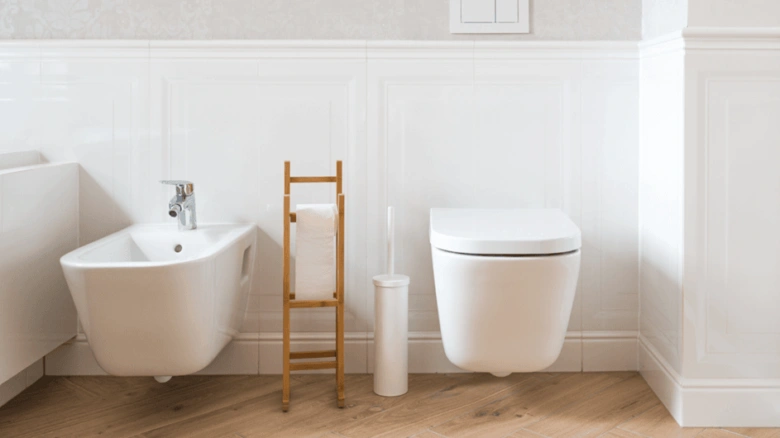 Bidet and toilet setup