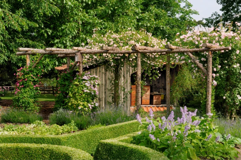 Malá dřevěná pergola s růžemi v zahradě.