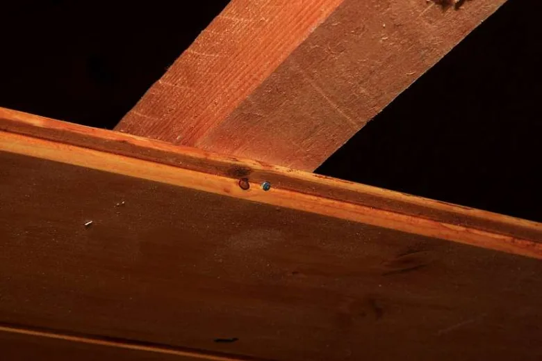 Detailní pohled na šroubování dřevěných palubek v exteriéru.