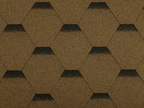 Shingle roof texture