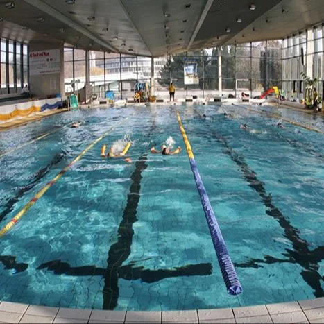 Indoor swimming pool with swimmers
