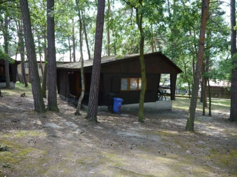 Dřevěný chatka v lese na kempu Holany