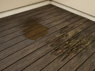 Povrch dřevěné terasy s hnilobou, plísní a vlhkostí.