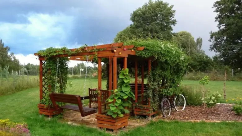 Dřevěná pergola pokrytá hojnými popínavými rostlinami v zahradě.