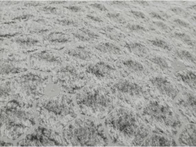 Fotografie vegetační dlažební plochy s prorůstající trávou.